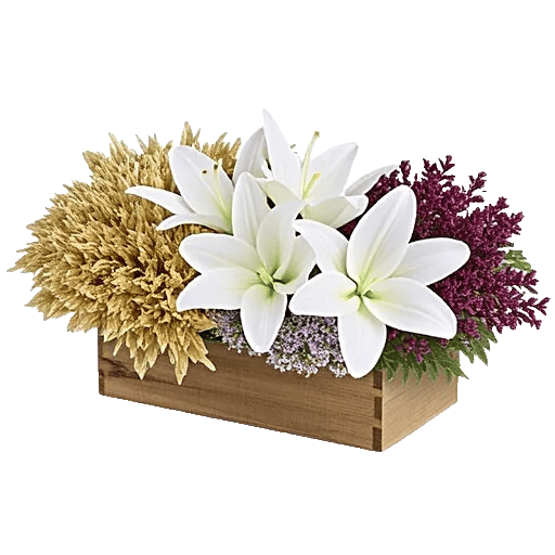 Frosted Lily Spread