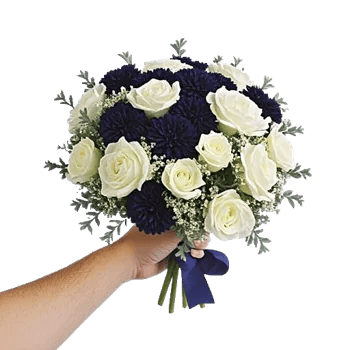 Delicate Petal Cascade