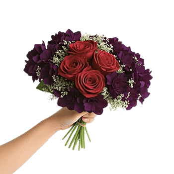 Crimson Rose Elegance