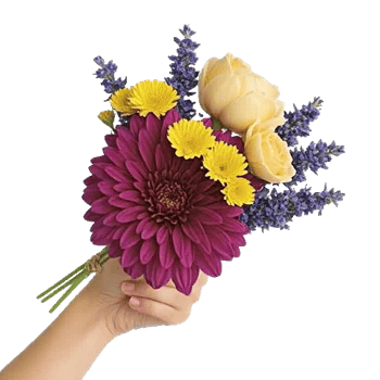 Crimson Blossom Harmony