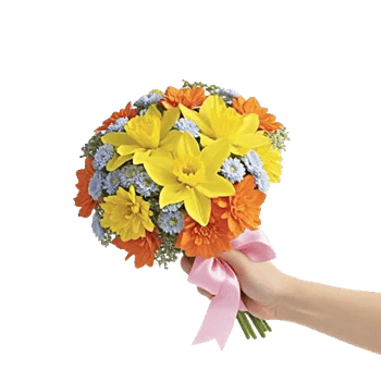 Blossom Harmony Display