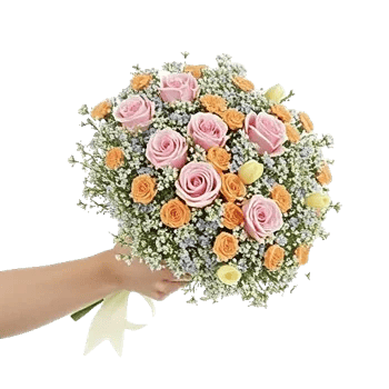 Pastel Pink Roses