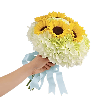 Radiant Bloom Cascade