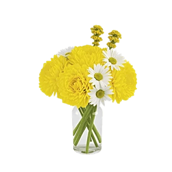 Delicate Petal Cascade