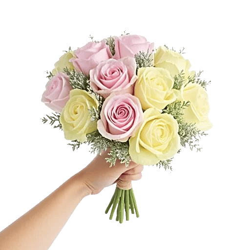 Pastel Pink Roses