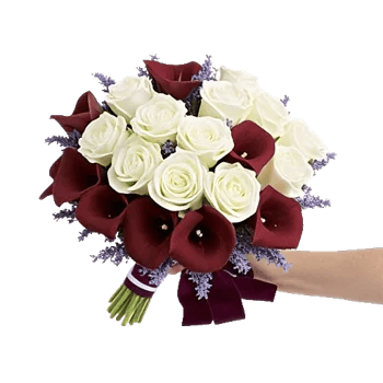 Blushing Rose Symphony