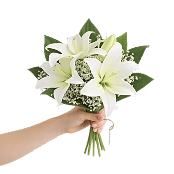 Graceful Lily Display