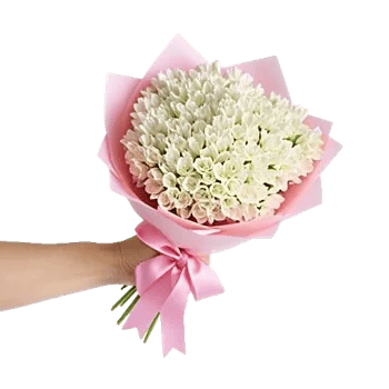 Ivory Blossom Radiance