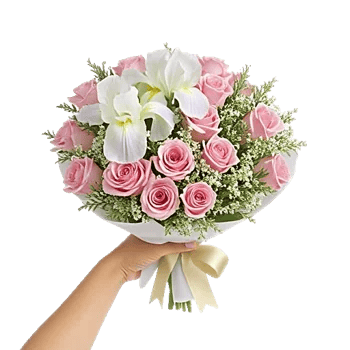 Ivory Garden Grace