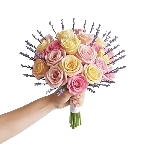 Pastel Pink Roses