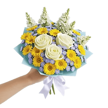 Serene Petal Harmony