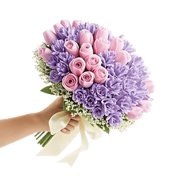 Blushing Rose Symphony