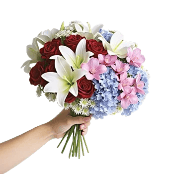 Blossom Harmony Display