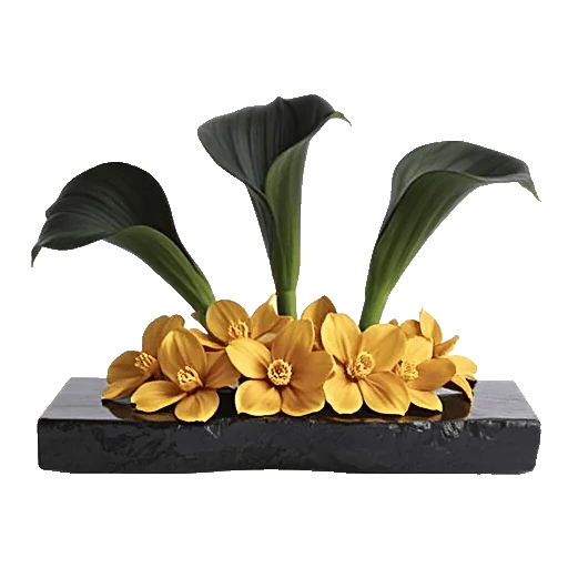 Elegant Calla Lilies