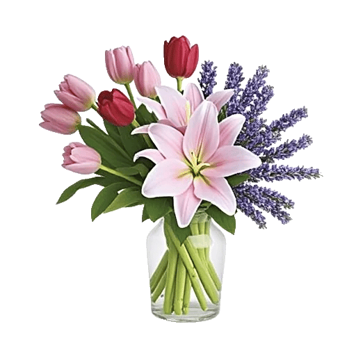 Velvet Tulip Display