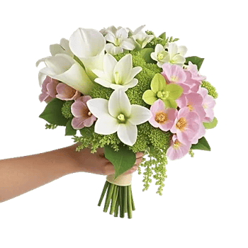 Modern White Orchids