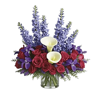 Elegant Calla Lilies