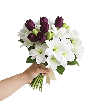 Ivory Garden Grace