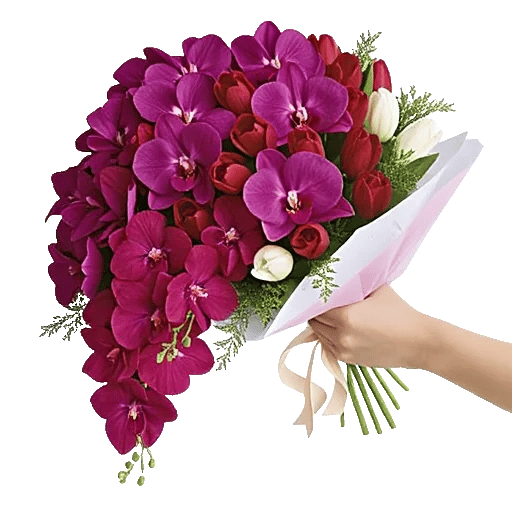 Orchid Bloom Cascade