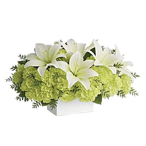 Graceful Lily Display