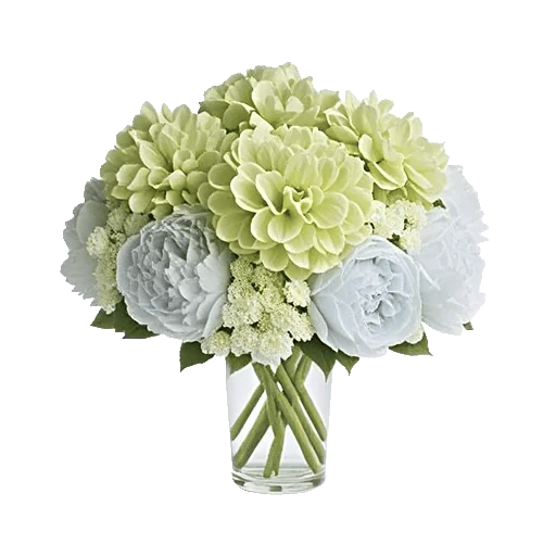 Petal Radiance Bliss