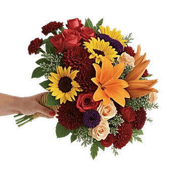 Petal Harmony Bliss