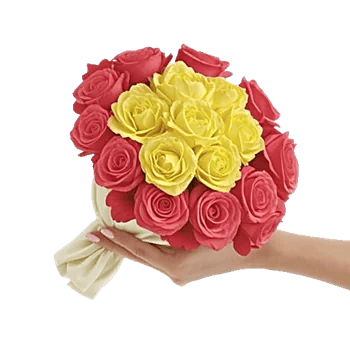 Coral Blossom Harmony