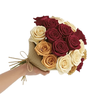 Crimson Rose Elegance