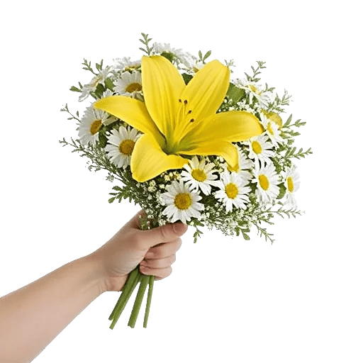 Blossom Harmony Display