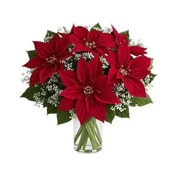 Crimson Blossom Harmony