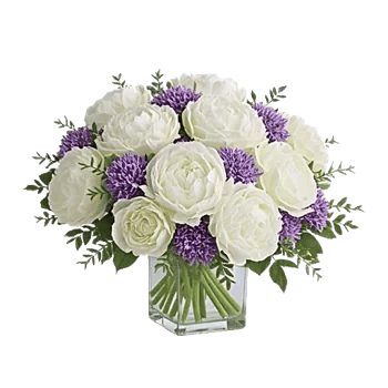 Petal Radiance Bliss