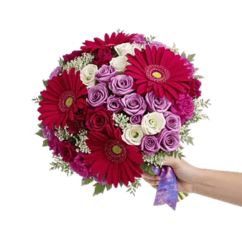 Petal Harmony Bliss