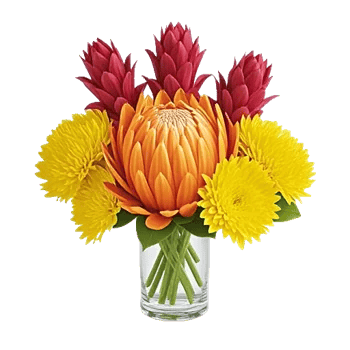 Petal Radiance Bliss