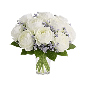 Ivory Blossom Radiance