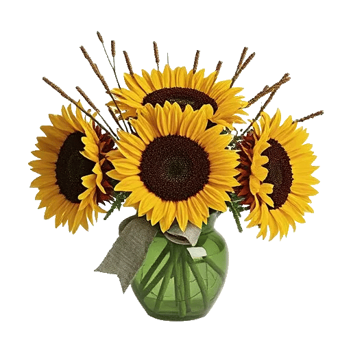 Radiant Bloom Cascade