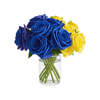 Elegant Blue Roses
