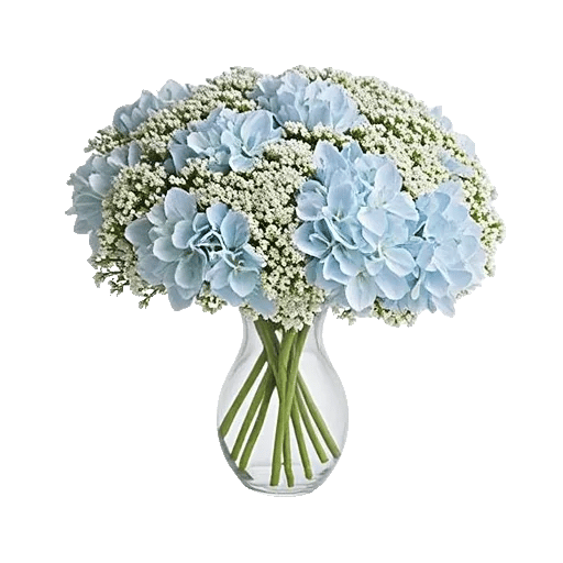 Ivory Blossom Radiance