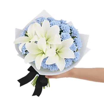 Serene Petal Harmony