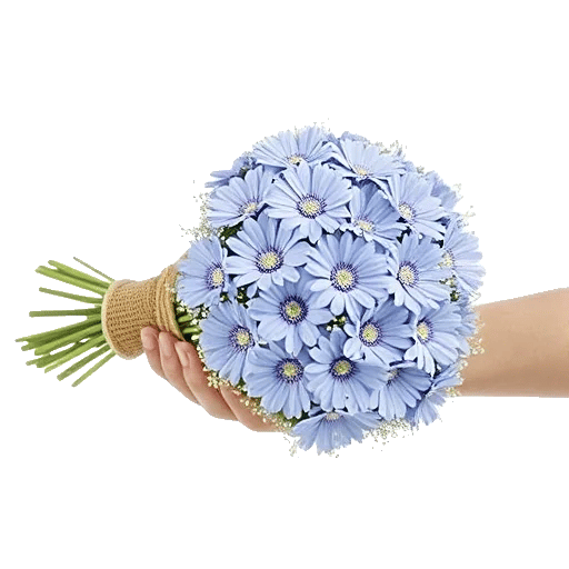 Blossom Petal Serenity