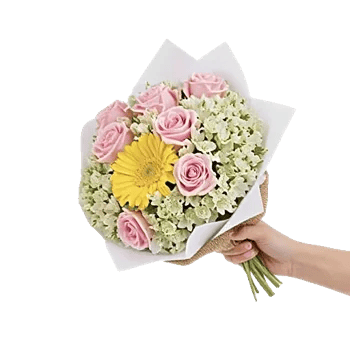 Golden Petal Harmony