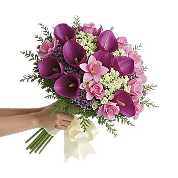 Elegant Calla Lilies