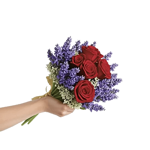 Crimson Rose Elegance