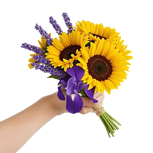 Twinkling Sunflower Dance