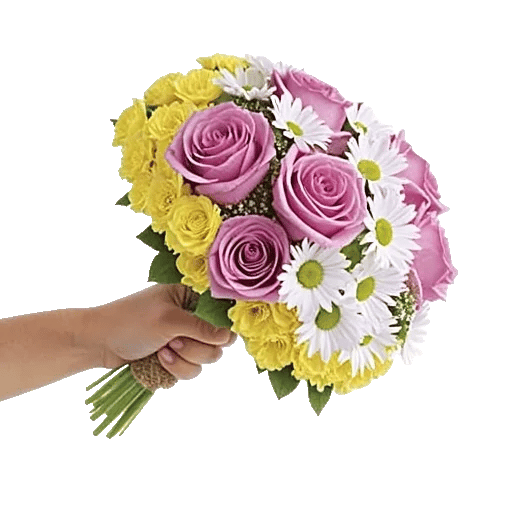 Delicate Petal Cascade