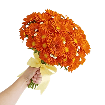 Vibrant Orange Delight