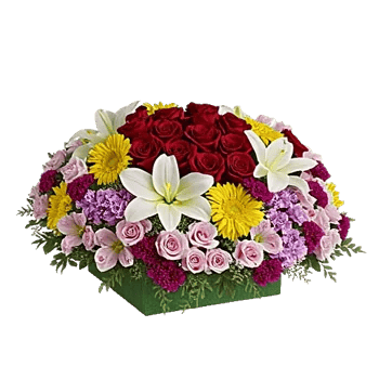 Delicate Petal Cascade