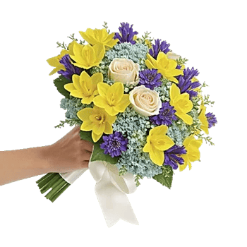 Blossom Petal Serenity