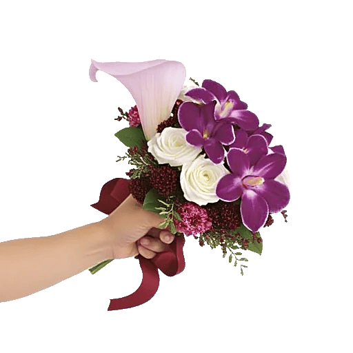 Elegant Calla Lilies