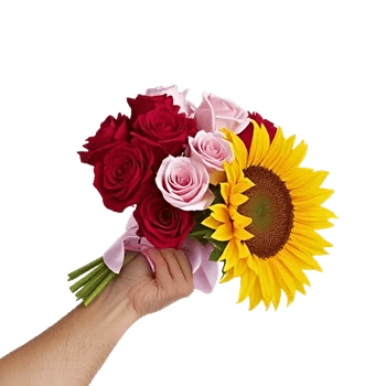 Blushing Rose Symphony