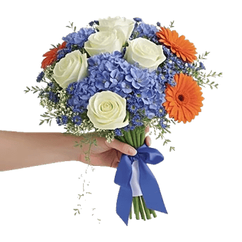 Serene Petal Harmony